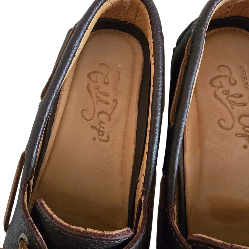 Sperry Gold Cup Topsiders Men's Dark Brown Leather Boat Shoes